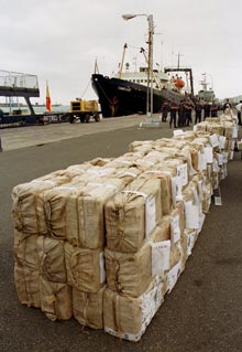 La cocaína incautada durante la 'operación Temple', en el puerto de Las Palmas.