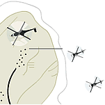 Palacio y Benaissa acuerdan normalizar las relaciones entre España y Marruecos