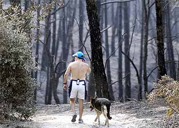 Un hombre regresa a su casa en Maçanet de la Selva, en medio de las cenizas del incendio.