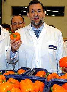 Rajoy comprueba la calidad de los pimientos en una cooperativa agrícola de El Ejido (Almería).