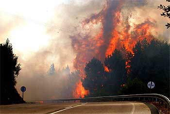 Incendio del pinar de Montegrande, en el municipio orensano de Bande.
