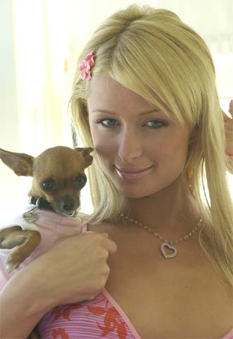 Paris Hilton, con su  contraseña,  su perro desaparecido.