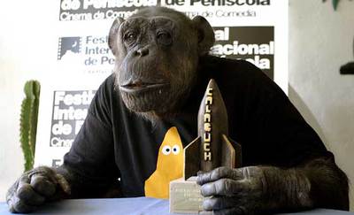 La mona Chita, que protagonizó, durante los años 30 y 40, 12 películas de Tarzán, ha recibido en Palms Springs (California) el premio  Calabuch .