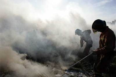 Los brigadistas anti-incendios, como estos de Serra de Outes (A Coruña), trabajan sin descanso en su lucha contra las llamas.