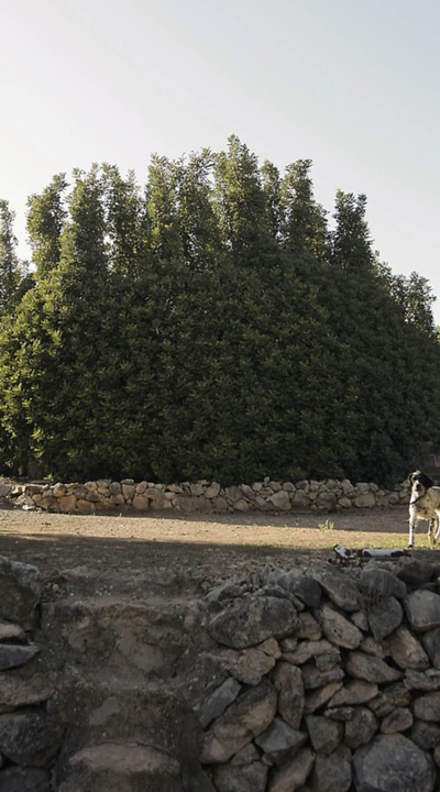 Un 'parany' en la provincia de Castellón.