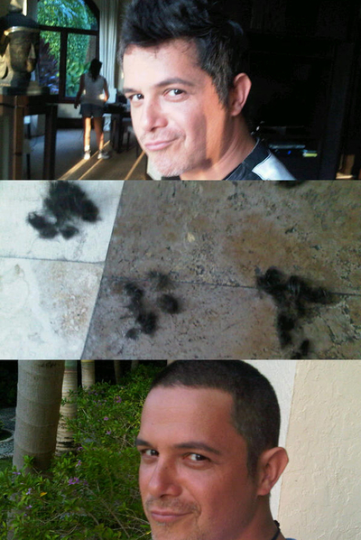 Alejandro Sanz publica en su Twitter las fotos del brusco proceso de su cambio de  look 