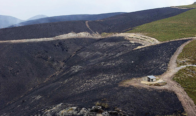 Incendio en el Macizo Central orensano.