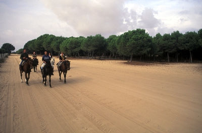 Excursionistas el entorno de Doñana.