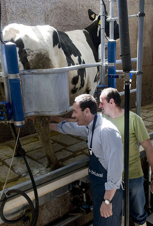 Tomás Gómez, durante su una explotación ganadera en Guadalix de la Sierra.