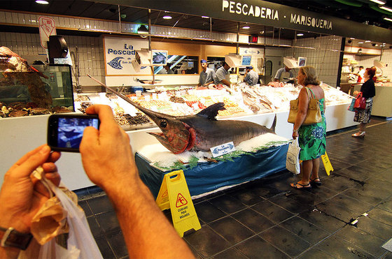 El pez espada de 400 kilos  posa  en el mercado de San Antón en Madrid.