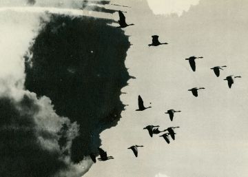 Volar con Irene Zottola, un elogio a la fotografía analógica