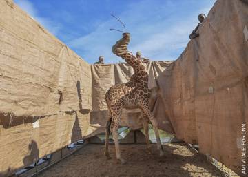 Las imágenes ganadoras del World Press Photo 2021