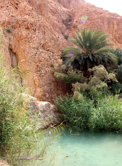 Oasis de Chebika, uno de los escenarios de 'El paciente inglés'