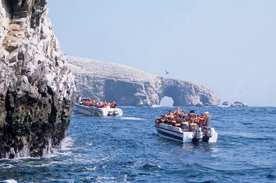 Reserva Nacional de Paracas