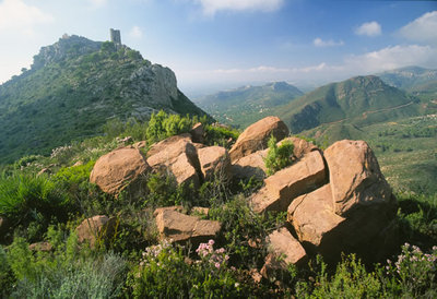 Ciudad de hormigas y 'fibers'