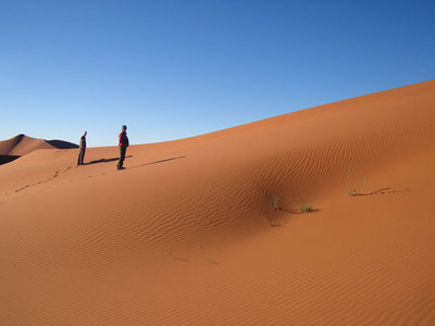 Con la tabla de surf al desierto