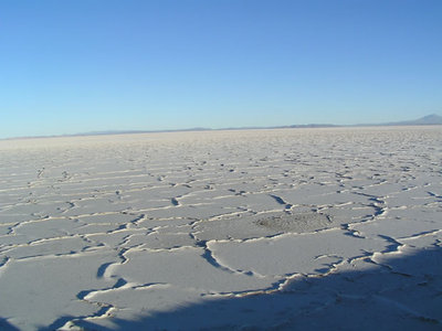 Con la tabla de surf al desierto