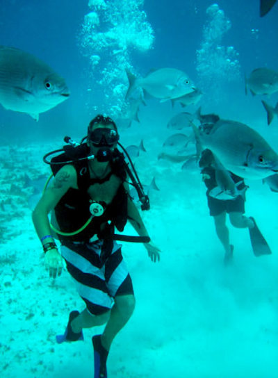 Buceo en el 'Mar de los siete colores', entre multitud de especies marinas y magníficos corales