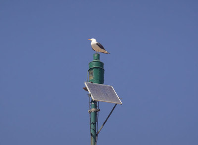 Las mil sandalias del pescador