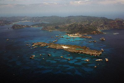 Los variados paisajes insulares albergan una rica fauna, como el 