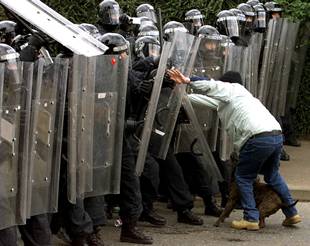 El ministro norirlandés de Empresas sustituirá al dimisionario David Trimble