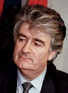 La República Srpska, dispuesta a entregar a Karadzic y Mladic al Tribunal de La Haya