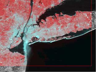 Bush califica los ataques de "actos de guerra" de "un nuevo enemigo"