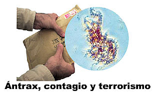 La investigación sobre el ántrax apunta a una fórmula fabricada en EE UU en los 60