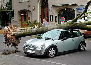 Una tormenta de verano causa siete muertos en Berlín y Brandeburgo
