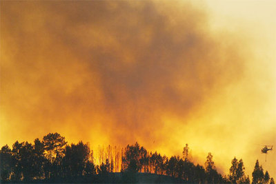 La mayoría de los incendios de Portugal quedan controlados y esta mañana quedaban sólo seis fuegos activos.