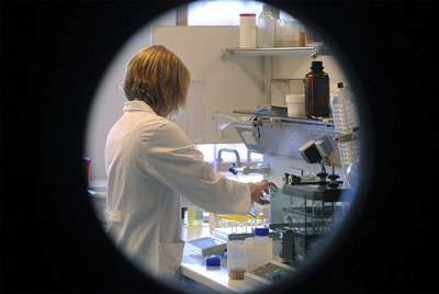 La química del laboratorio del Instituto de Protección del Consumidor de la Baja Sajonia, Frederike Hahn, analiza una muestra de huevos contaminados con dioxina.
