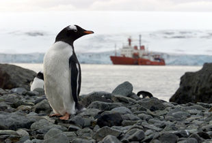 Desembarco en Isla Livingston