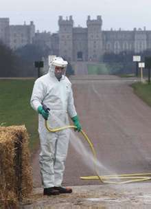 La crisis de la aftosa amenaza con crear problemas de desabastecimiento en el Reino Unido