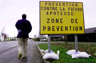 EE UU cierra sus fronteras a la carne europea tras la aparición de un foco de aftosa en Francia