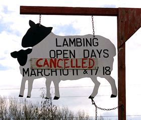 Reino Unido sacrificará más de 200.000 animales para frenar la fiebre aftosa