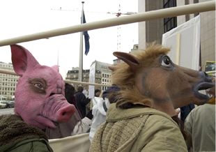 Los Quince contemplan la vacunación como "último recurso" para erradicar la fiebre aftosa