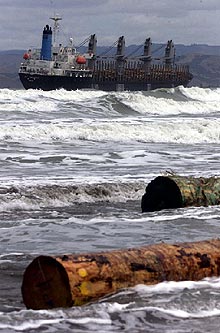 El  Jody F Millennium , junto a la playa de Gisborne.