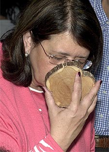 La ministra Rodríguez huele un trozo de álamo durante la presentación del invernadero  Arboles: Leyendas Vivas .