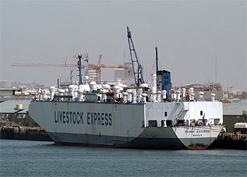 El carguero 'Cormo Express' atracado en Kuwait.