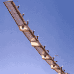 Una tormenta solar afecta a las comunicaciones y a los sistemas de navegación de la Tierra