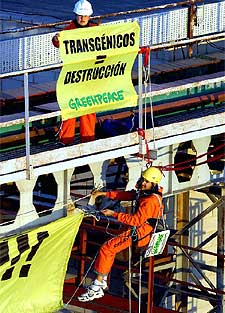 Varios ecologistas cuelgan cartelesde  Transgénicos igual a muerte  en la fábrica cartagenera Moyresa.