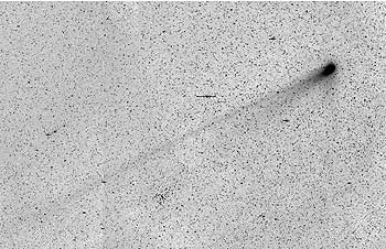 Imagen del cometa  Neat-Q4  tomada desde La Palma el pasado 9 de mayo.