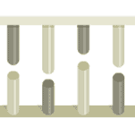 Crick pone a prueba su teoría del alma humana