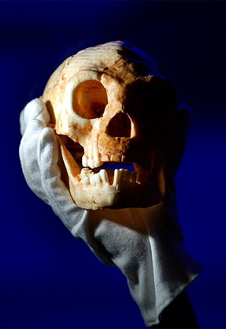 Hallan en una isla remota de Indonesia los restos de una especie de ser humano de pequeño tamaño que vivió hace 18.000 años.