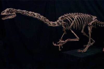 En la imagen, una recreación del dinosaurio cuyos restos han sido encontrados en Utah.