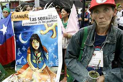 Miembros del Movimiento de los Sin Tierra (MST) y del Movimiento Campesino Internacional participan en una manifestación durante la siembra de árboles hoy en la ciudad brasileña de Curitiba.