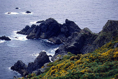 Imagen del cabo Ortegal tomada de la  web  de Museos Científicos Coruñeses.