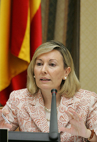 La secretaria de Servicios Sociales, Familias y Discapacidad, Amparo Valcarce, durante su comparecencia en el Congreso.