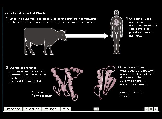 Diez claves del mal de las vacas locas