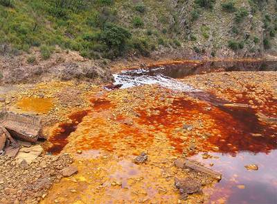 Los microorganismos que viven en las aguas del río Tinto (Huelva) tienen un metabolismo basado en la energía producida en la oxidación de la pirita. Se produce ácido sulfúrico que acidifica el agua del río convirtiéndolo en un ambiente extremo.